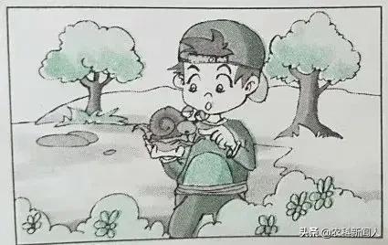 二年级看图写话直播课程,二年级看图写话100篇