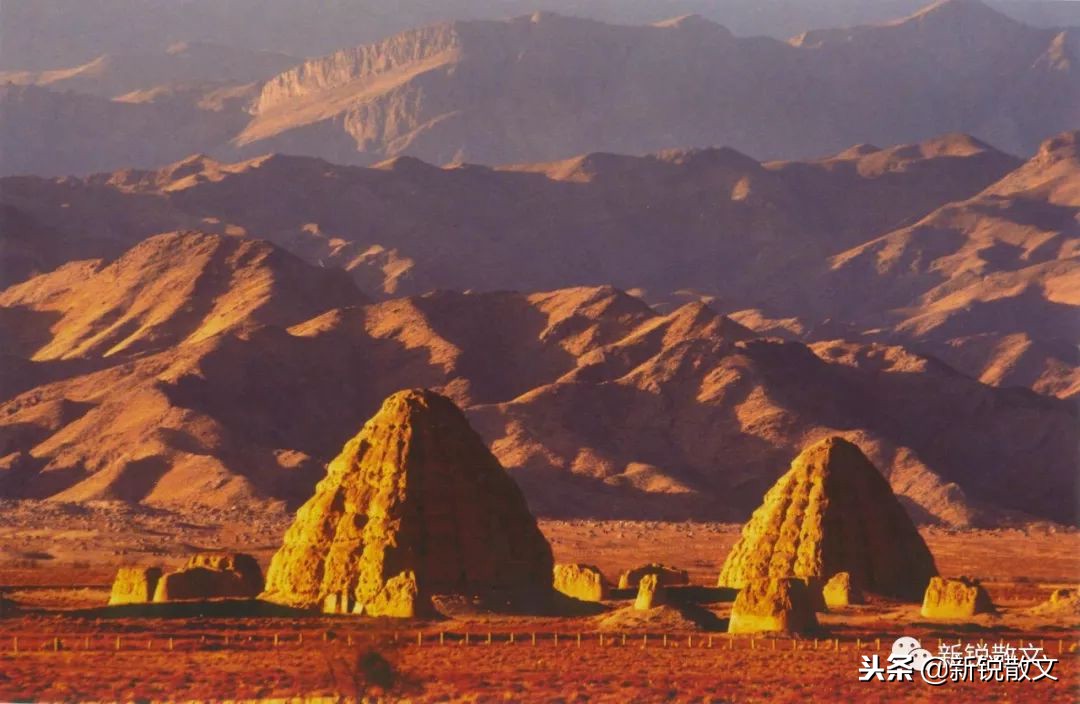 西夏王陵图片及简介,西夏王陵的历史文化