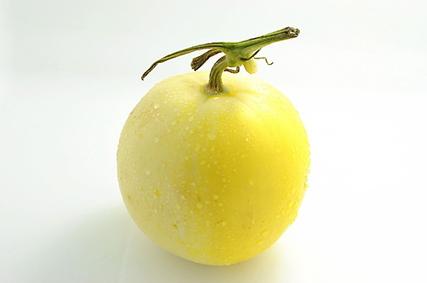 胎儿发育全过程标本,是否能看到胎儿的发育过程