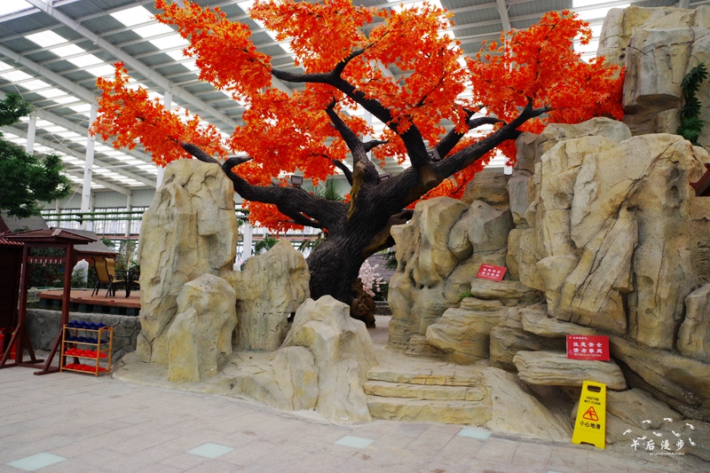 陕菜探秘小程序,陕菜探秘太白县