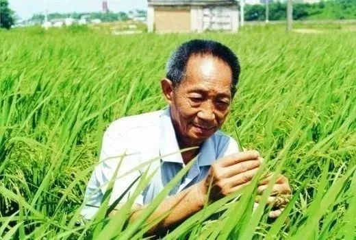 九江遛娃室内好去处,好玩指数三颗星