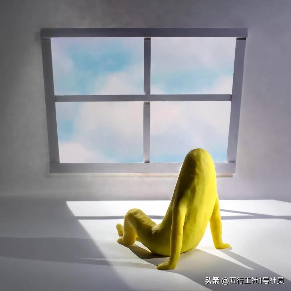 纽约时报年度最佳童书绘本推荐,纽约时报年度最佳图书