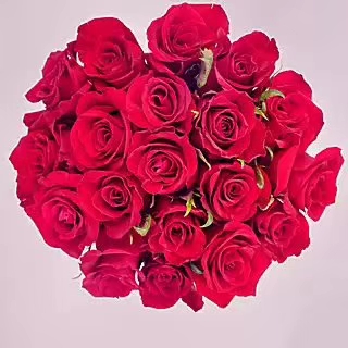 业余足球女球迷,有一个喜欢看你踢球的女孩