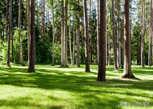 英式英语和美式英语用词区别,我们学的英式英语还是美式英语