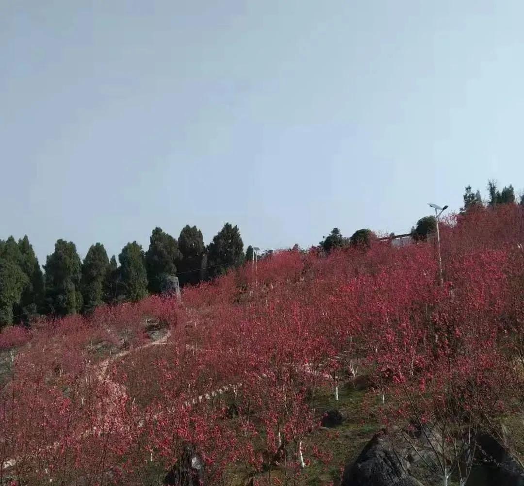 邵阳十四五最新高速公路规划,邵阳新开工的高速公路有哪些