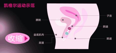 产后夫妻无工作怎么办,产后夫妻不和谐为什么