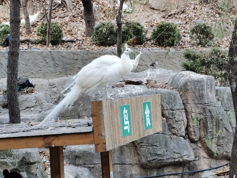大连老虎滩5a景区,大连老虎滩5馆旅游攻略