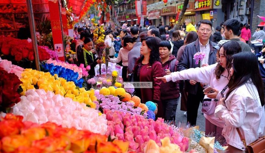 过年好看的年宵花,传统年宵花有哪些