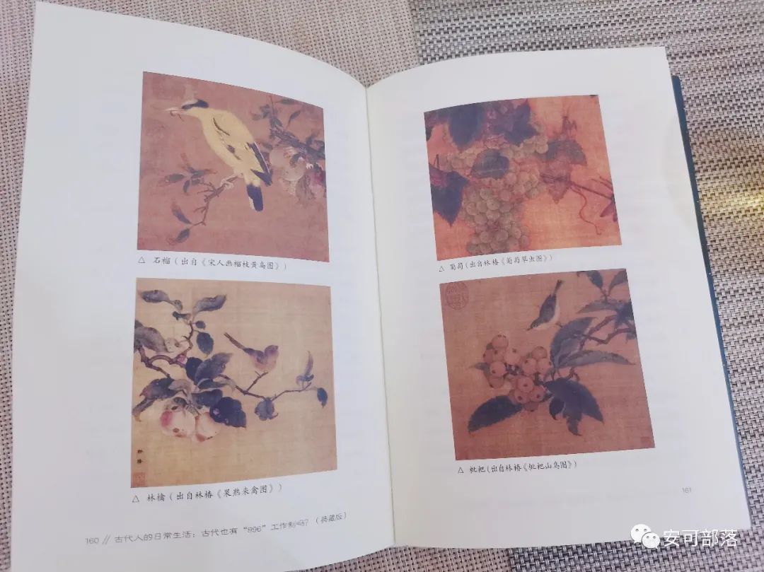 过把穿越瘾带你回宋朝体验人生,如果你穿越到历史我最想去宋朝