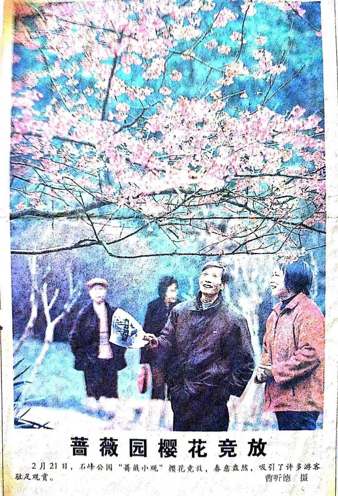 张启东湖北,张启东唱歌视频