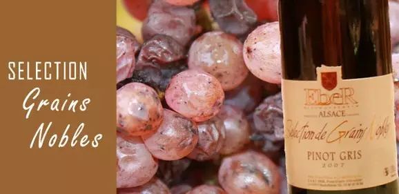 这些葡萄酒界常见的术语缩写，你都认识吗？