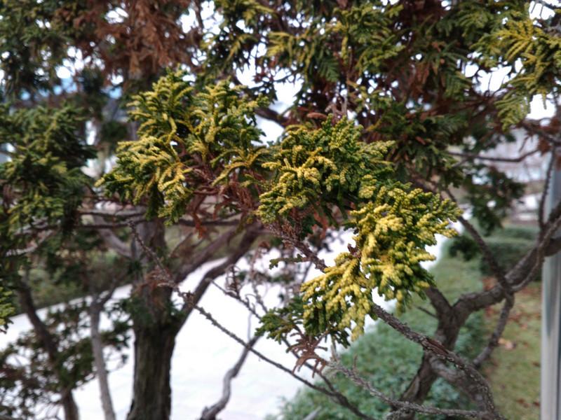 联想乐檬k32c36手机测评,联想乐檬K3测评