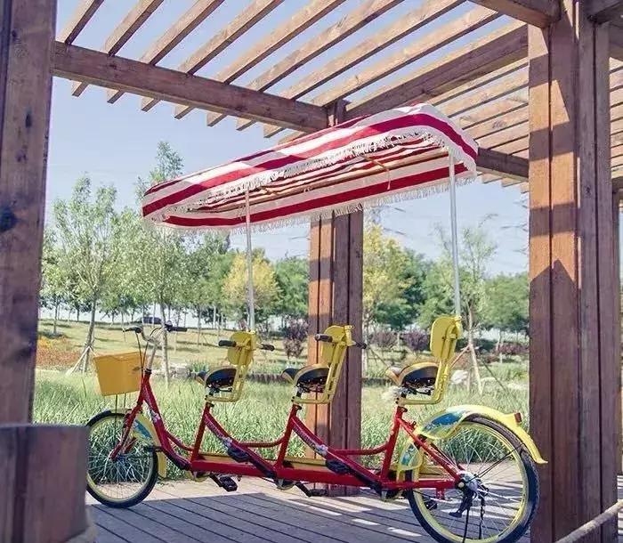 广东旅游景点游乐场玻璃桥,仙女山旅游攻略溶洞