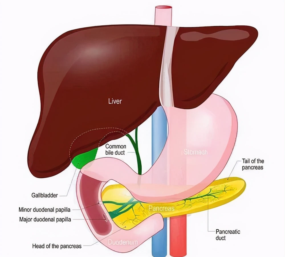 乙肝患者肝血管瘤会癌变吗,有乙肝肝内有血管瘤会癌变吗