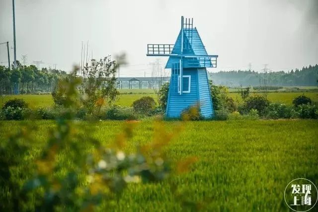 吵翻了！上海16个区终于正面PK！哪个是你心中的“扛把子”？