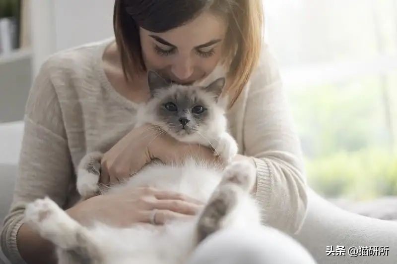 猫咪耳螨怎么治疗才能彻底好,耳螨猫咪用什么药猫咪老是乱动
