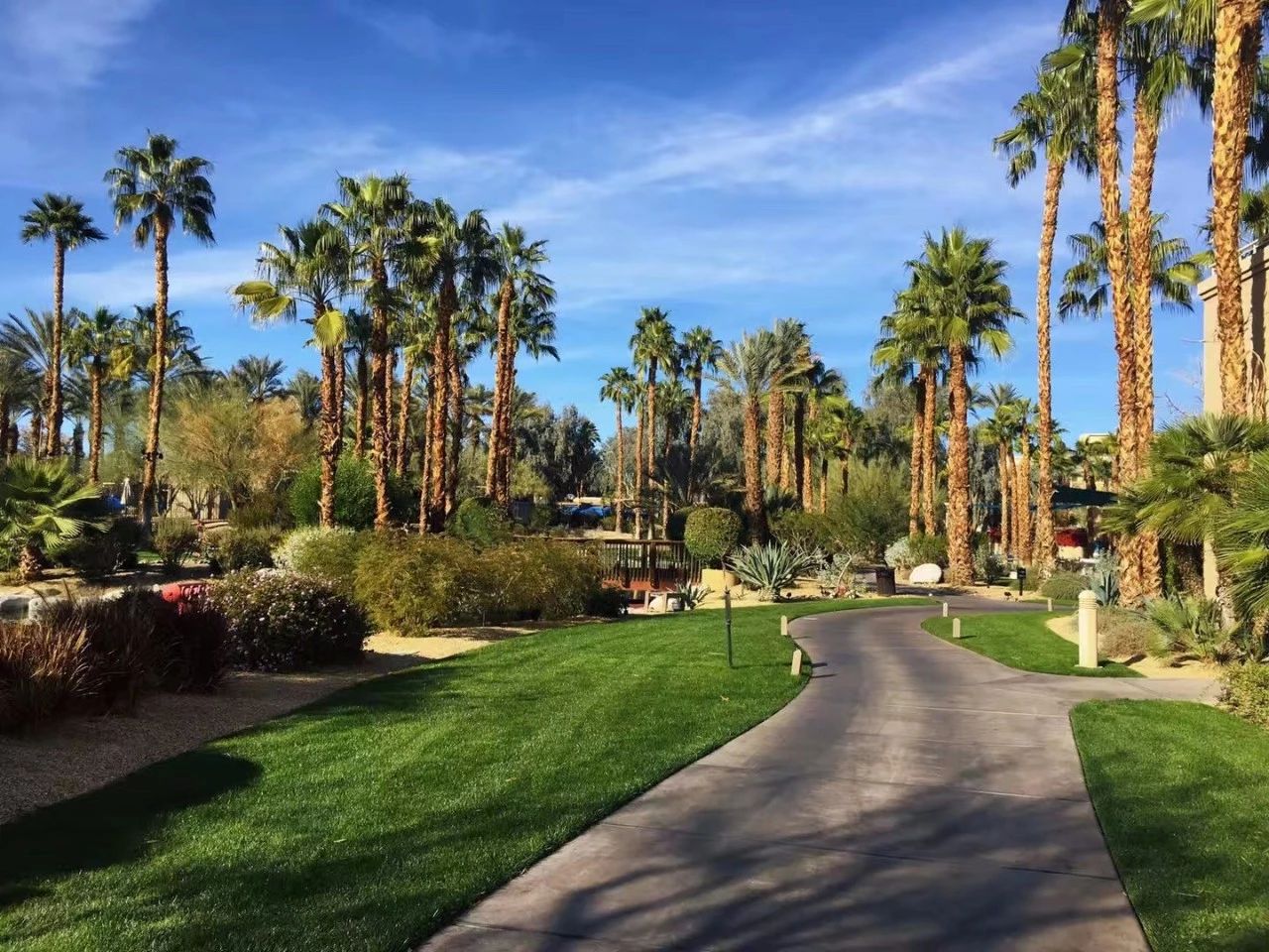 美国补办护照对绿卡有影响吗,在美国护照弄丢了怎么办