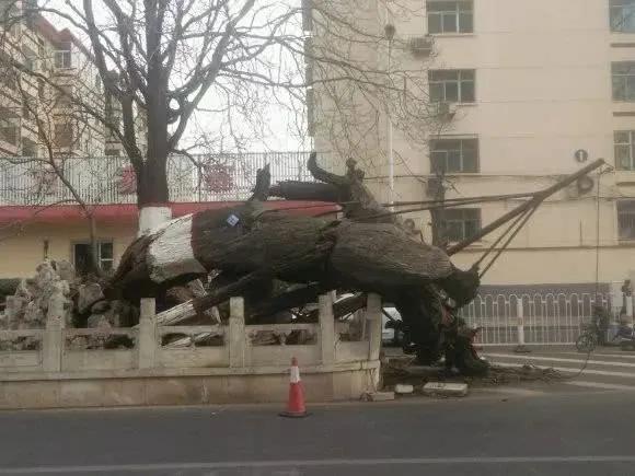 晋阳街的故事,太原市晋阳故事