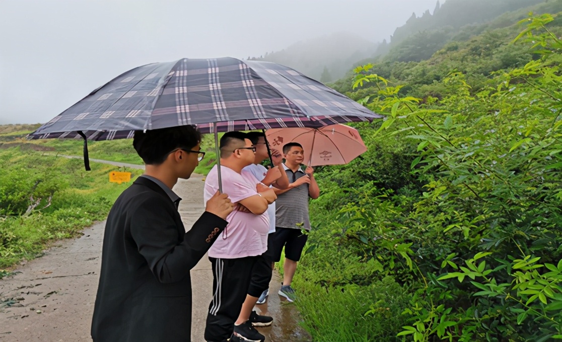 「技术」9-10月青花椒田间管理：连续降雨，警惕病虫害滋生