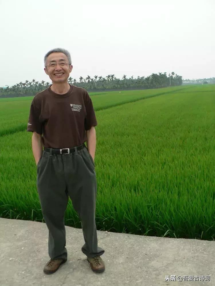 武汉网红女教授,武汉网红教授讲课