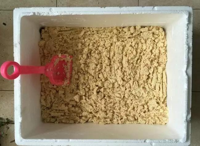 这6种碎渣渣，养花当土又当肥，比激素还有劲儿