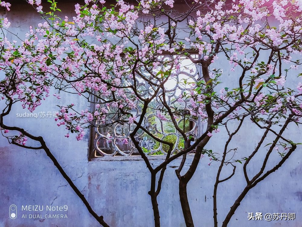 去苏州不能错过的地方,苏州最不能错过的古镇