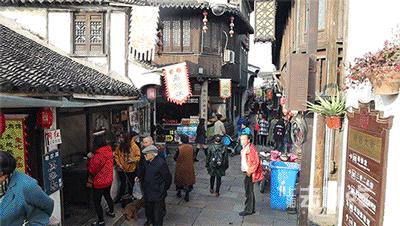 浦东人家门口的“小苏州”，低调美了800年！应该让全上海都知道