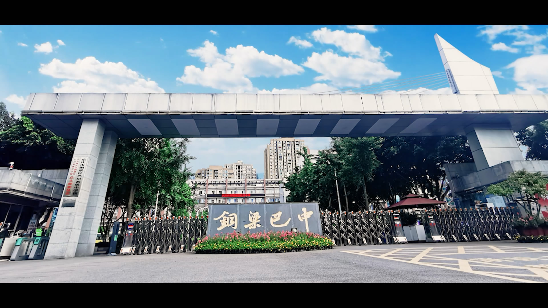 成就最好的自己感悟,成就最好的自己心理健康教育