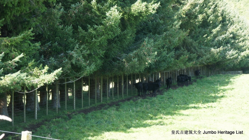 第134回：怀凯蒂山谷温泉浴，怀奥塔普地热公园