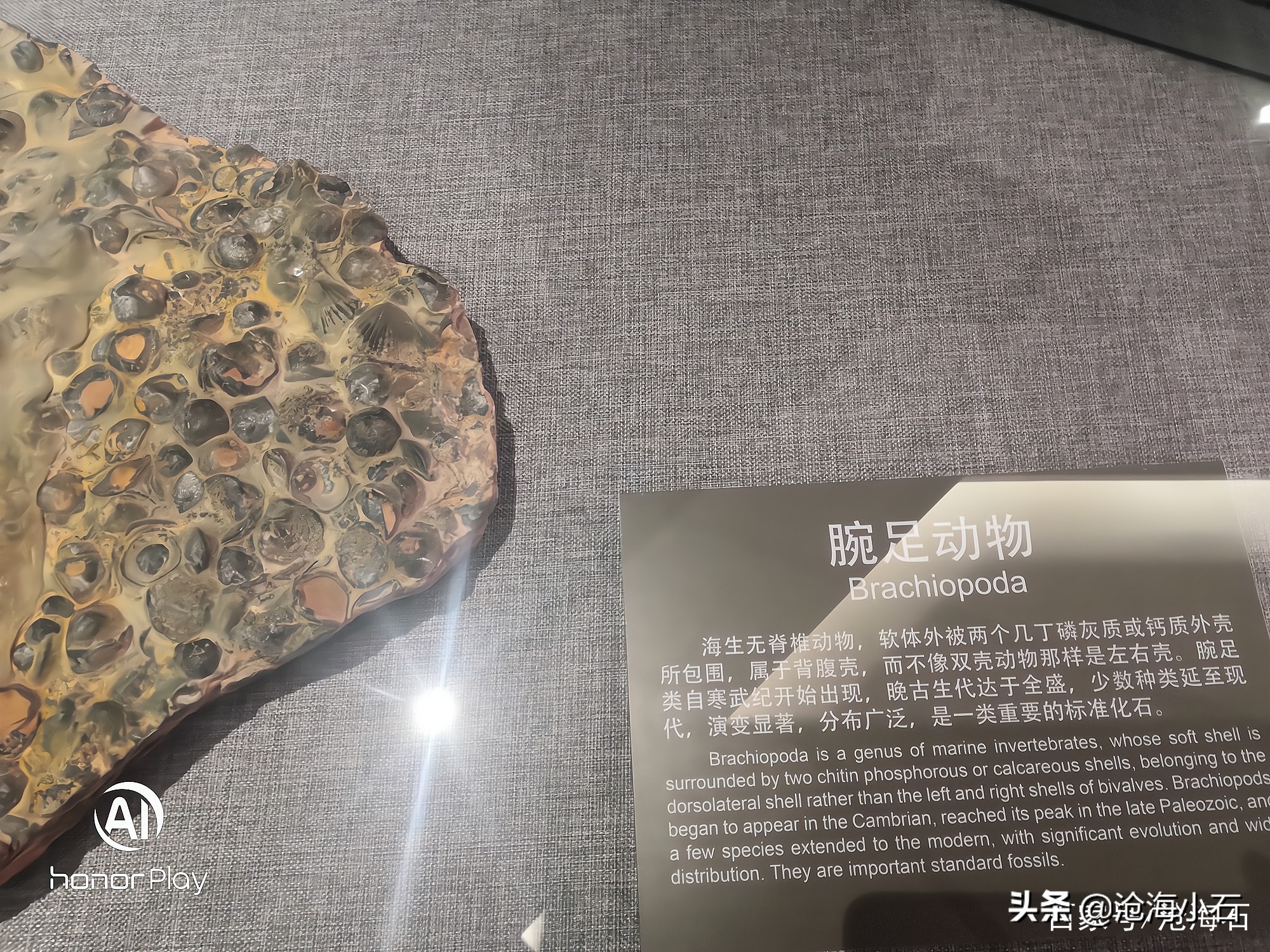 有哪些石头不要扔,十种不能捡的石头图片