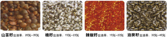 全自动榨油机小作坊项目,全自动榨油机一体