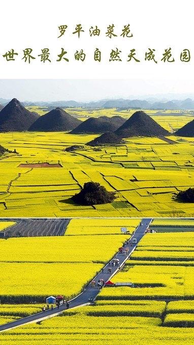 一生必去的云南,一生必去50个地方云南有几个