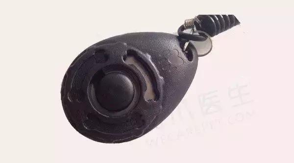 猫咪为啥喜欢玩袋子 (为什么猫咪喜欢吃塑料袋)