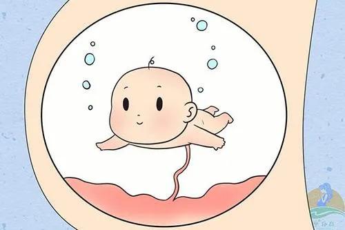 羊水少怎么办多喝椰子水,羊水多和喝椰青有关系吗