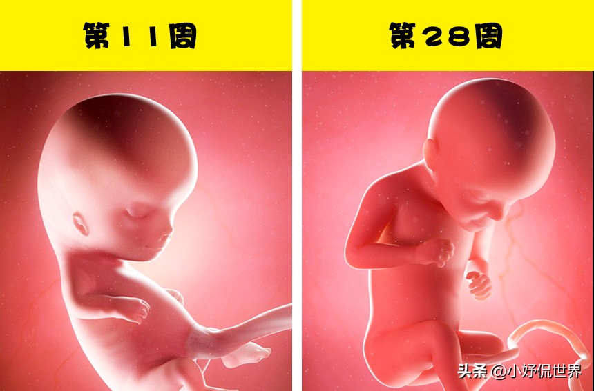 有关怀孕分娩的知识,怀孕时要知道的一些新生儿常识