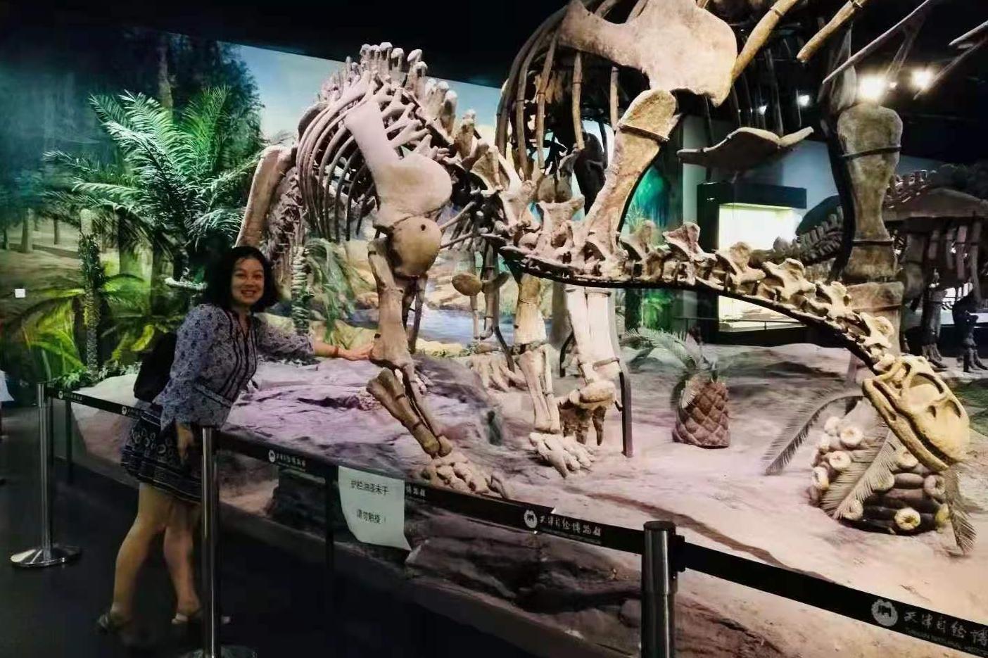 北疆博物馆历史,北疆博物馆最早建立的时间