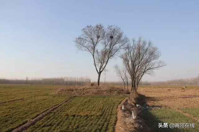 商河玉皇庙记忆,商河玉皇庙演武村近日视频