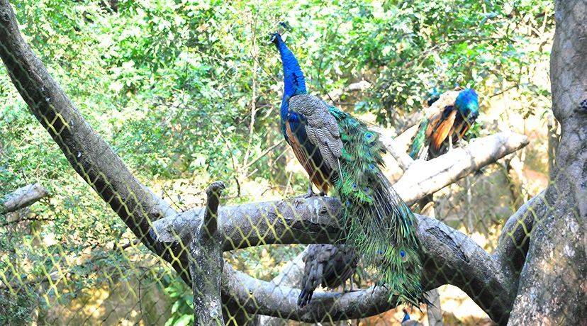 深圳青青世界有什么好玩,深圳青青世界亲子套票