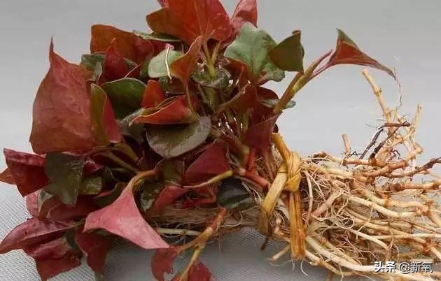 韩国销量最好的化妆品,韩国最好的十大名牌化妆品