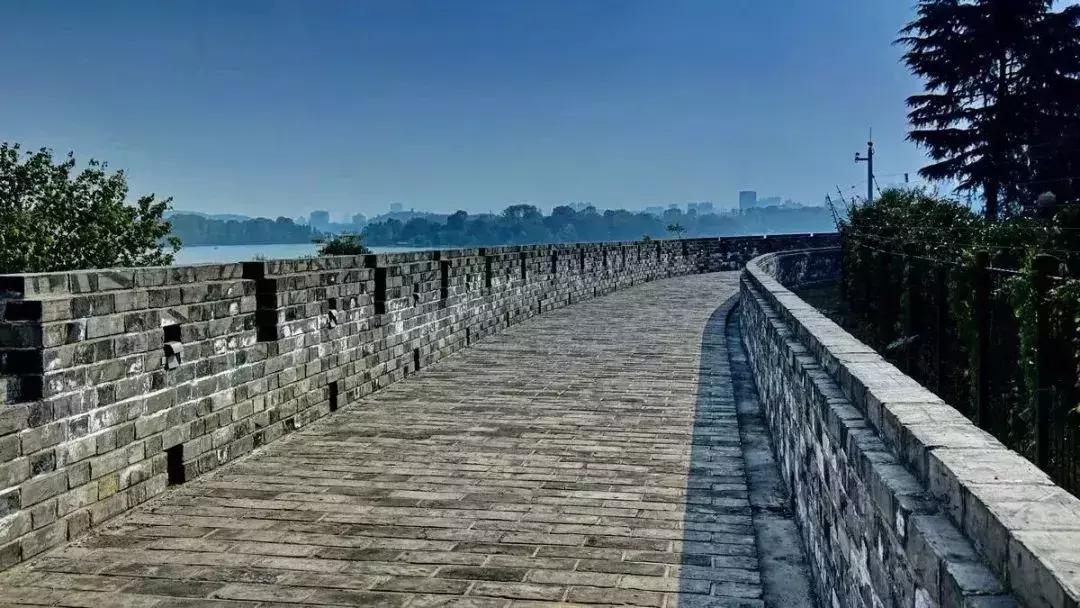 太全了,南京人少景美的免费公园