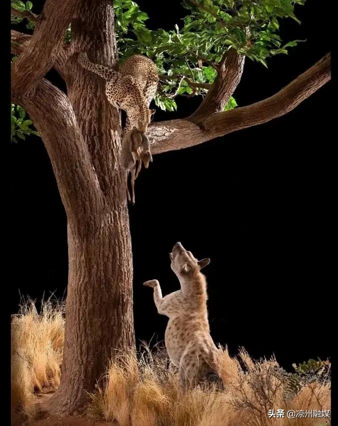 武威六中录取名单2021初中,武威第六中学体考