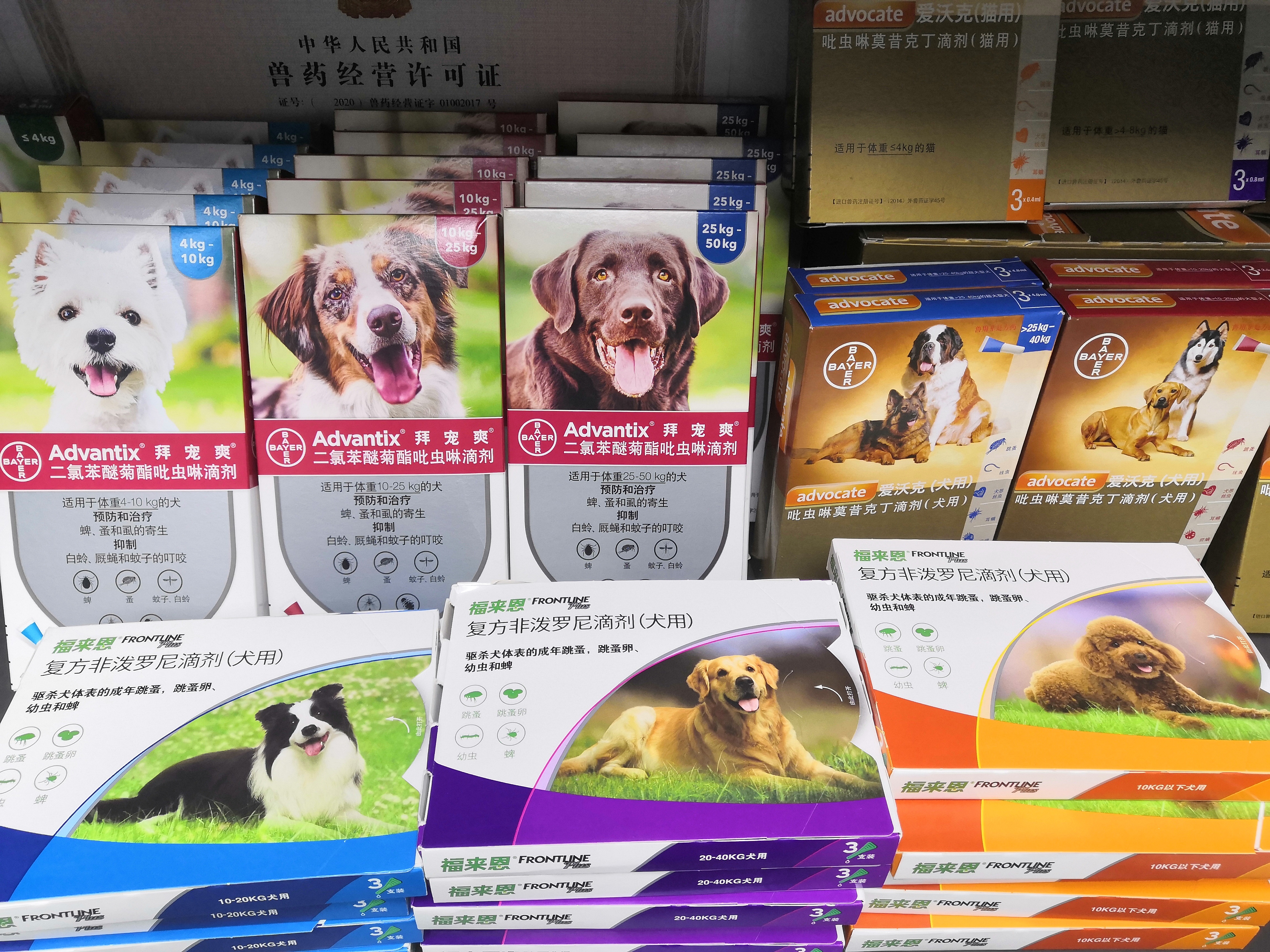 狗的驱虫药怎么用,人用驱虫药可以给狗用吗