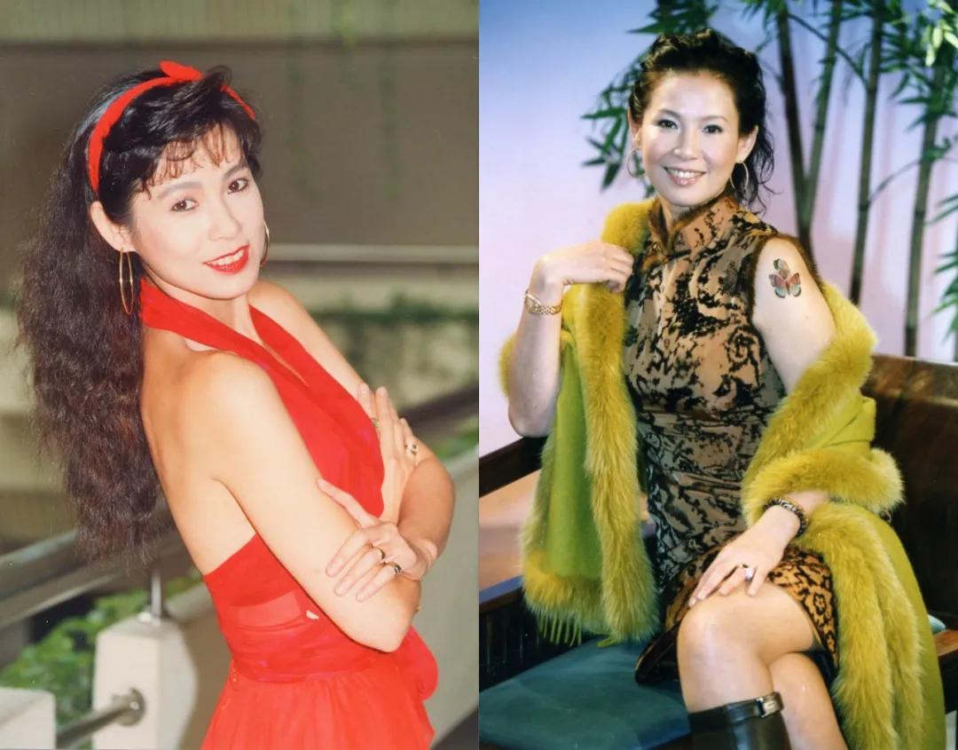 绝代佳人四大美,台湾90年代的五位绝色美人