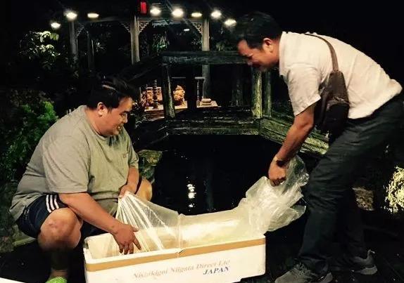 他花50亿建池塘买锦鲤，还以好友的名字为它们命名！