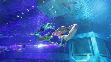 暑假余额已不足该关注什么,暑假余额即将不足