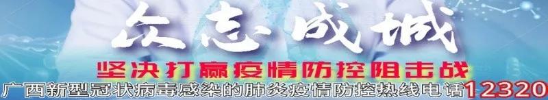 金秀瑶寨非遗集市,金秀瑶族特色文化展示