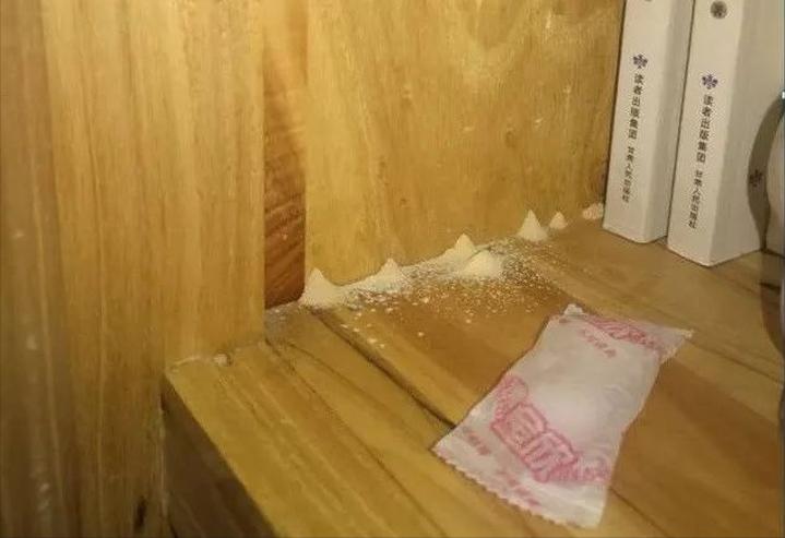 庄寨木业布局,庄寨实木木材