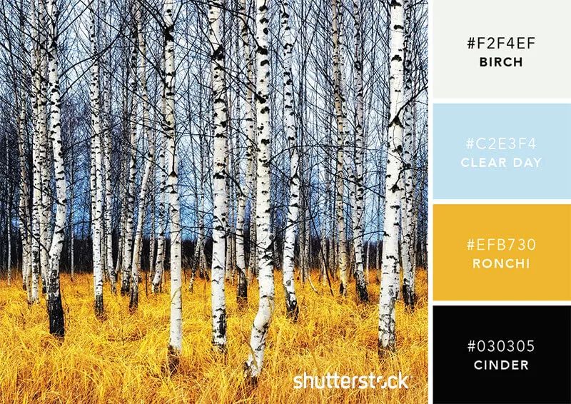 色彩搭配个人形象设计,色彩搭配都是业主亲自选择