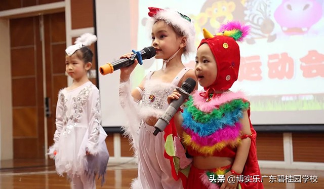 第九届碧桂园杯,第十二届碧桂园杯