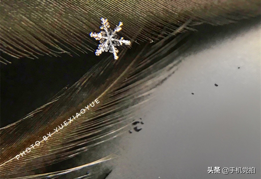手机拍摄雪花的正确方法,手机拍雪花微距